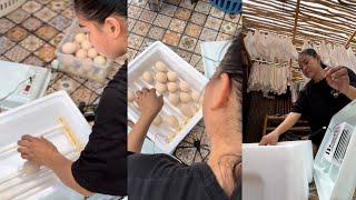 Mini Vlog Andaming Eggs ng Peahen namin sa Farm