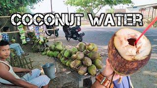 This Hard-Working Man Selling Coconut Water l Amazing Coconut Cutting Skills l Indian Street Food