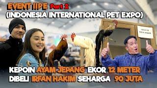 KEPOIN AYAM JEPANG EKOR 12 METER  DIBELI IRFAN HAKIM SEHARGA 90 JUTA ‼️  EVENT IIPE PART 2