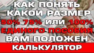 Как понять какой размер Единого пособия Вам положен Калькулятор единого пособия