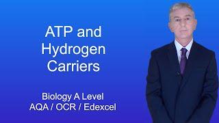 A Level Biology Revision ATP and Hydrogen Carriers
