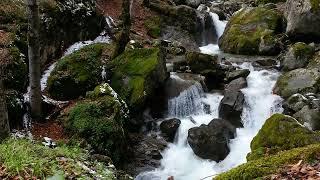 WINTER SUMMIT WATERFALL  Falling Snow & Stream For Sleep  Ambience  10 Hour Natural White Noise