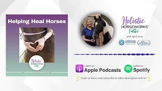 Helping Heal Horses with April Love on Holistic Animal Insights