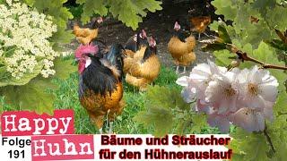 E191 Die besten Bäume und Sträucher für den Auslauf der Hühner Ziergehölze und Obstbäume HAPPY HUHN