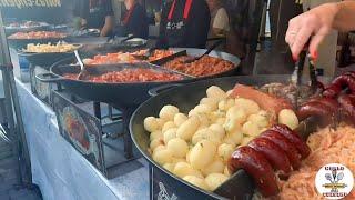 The BEST & LARGEST Street Food FAIR in VILNIUS Lithuania Days of the Capital - Largest FESTIVAL.