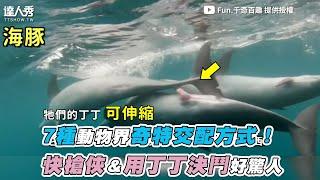 【7種動物界奇特交配方式！ 快槍俠＆用丁丁決鬥好驚人】｜@fun.