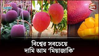 যে আমের দাম শুনলে আঁতকে যাবেন আপনি  Miyazaki Mango  Most Expensive Mango  24 Feature  Channel 24