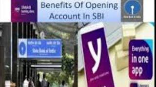 Benefits of Opening Saving Account In SBI All Details Discussed - Must Watch 