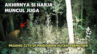 MASIH PENASARAN.. PASANG CCTV DI HUTAN CARI PENAMPAKAN HARIMAU JAWA YANG KEMARIN  CCTV HOROR 34