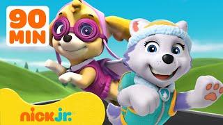 PAW Patrol Girl Power Rescues #2 w Skye & Everest  90 Minutes  Nick Jr.