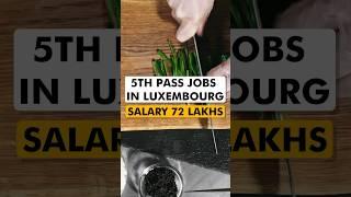 How to apply jobs in Luxembourg  Jobs in Luxembourg  How to apply jobs in Luxembourg