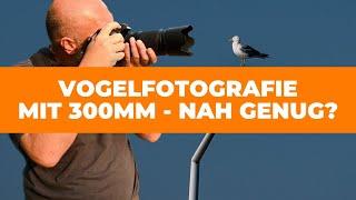 TELEZOOM 70 - 300mm  Reicht das für VOGEL FOTOGRAFIE aus?