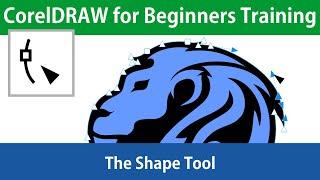 CorelDRAW for Beginners The Shape Tool Tutorial