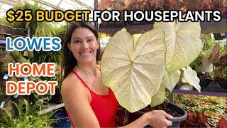 $25 BUDGET For Houseplants At Home Depot & Lowes - Big Box Plant Shopping and Plant Haul