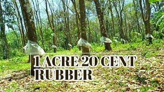 1 ACRE 20 CENT RUBBER SALE IN AYAVANA MUVATTUPUZHA I 24 KERALA PROPERTIES  I 273 th video