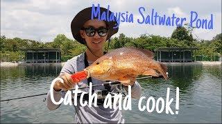 Saltwater Pond Fishing Catch and Cook 20 mins away from Singapore Malaysia Johor Bahru