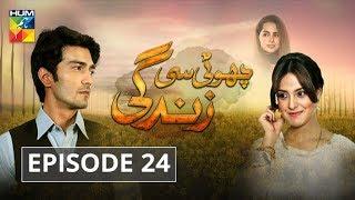 Choti Si Zindagi Episode #24 HUM TV Drama