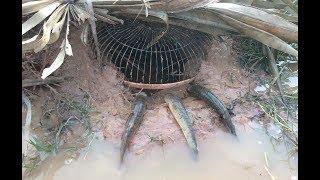 Believe This Fishing Trap?  Amazing Smart Boy Make Strange Fish Trap  Unique Fish Trapping System