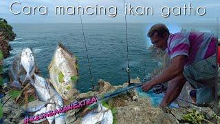 tutorial mancing ikan gatho teknik ngambang