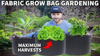 How To Use Fabric GROW BAGS For The Container Garden Of Your Dreams