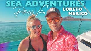 Cruising Snorkeling and Glass Bottom Boats in Loreto Mexico