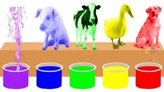 Farm Animals Bathing Colors Fun  Learn Colors for Children Kids Toddlers To Learn With Animals