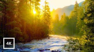 Golden Sunrise on Merced River Yosemite  4K Relaxing Nature Scene  Relaxing River Sounds  6 Hour