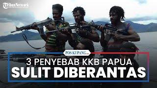 3 Penyebab KKB Papua Sulit Diberantas