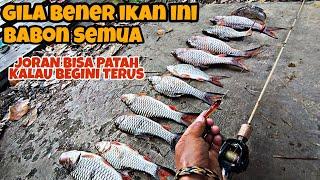 LUAR BIASASpot Ini bakal bikin pemancing manapun tergoda melihatnya