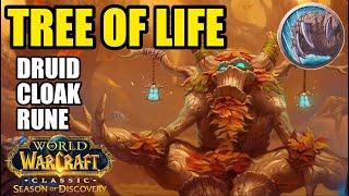 Druid TREE OF LIFE Rune Guide  WoW Classic SoD Season of Discovery