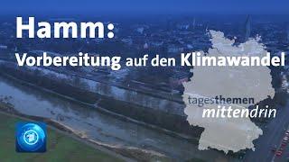 Hamm Vorbereitung auf den Klimawandel  tagesthemen mittendrin