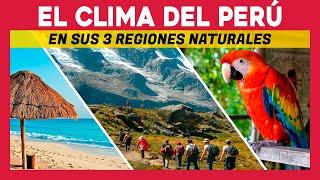  EL CLIMA DEL PERU EN SUS 3 REGIONES NATURALES  INFORMACION SOBRE EL CLIMA DEL PERU