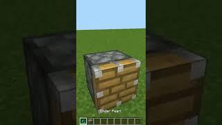 Что ВНУТРИ ПОРШНЯ в МАЙНКРАФТ? #shorts #minecraft