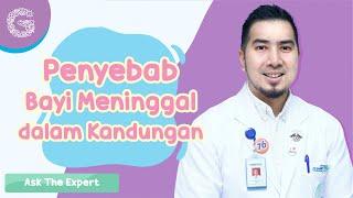 Apa Penyebab Bayi Meninggal dalam Kandungan? - dr. Ardiansjah Dara Sjahruddin SpOG. M.Kes.