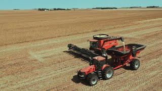 2020 South Dakota Soybean Harvest Drone Video DJI Mavic 2 Pro