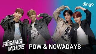 라이징보이스 POW파우 NOWADAYS나우어데이즈ㅣ딩고뮤직ㅣDingo Music