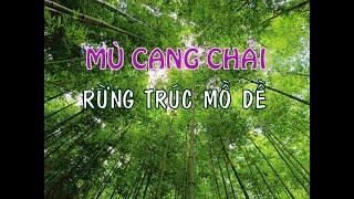 MÙ CANG CHẢI REVIEW RỪNG TRÚC MỒ DỀ ĐẸP NHƯ CỔ TÍCH