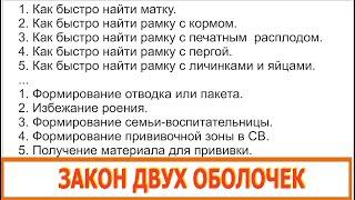 Трейлер - РАЗБОР  ЗАКОН ДВУХ ОБОЛОЧЕК. Знание закона - это моё свободное время