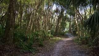 4K A Magical Walk  Colby Alderman Park  Spiritualism Cassadaga Florida