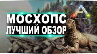 Мосхопс Moschops в АРК. Лучший обзор приручение разведение и способности  мосхопса в ark.