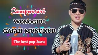 Wonogiri gajah mungkur lyrics The Best Javanese Pop