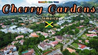 One of the Best Places to Live in Kingston Jamaica