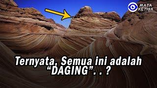 Ternyata... Semua ini adalah “DAGING”. . .?