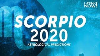 Scorpio 2020 Horoscope Tarot and Astrology Predictions  Latinx Now  Telemundo English