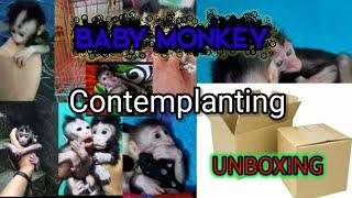 baby monkey contemplanting