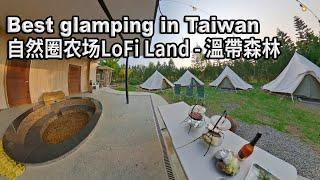 Best glamping in Taiwan 自然圈农场LoFi Land - 溫帶森林