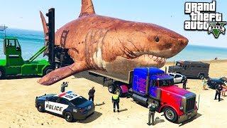 РЫБАЛКА НА МЕГАЛОДОНА И КАК ПОЙМАТЬ ОГРОМНУЮ АКУЛУ МЕГ ГТА 5 МОДЫ ОБЗОР МОДА В GTA 5  ВИДЕО MODS