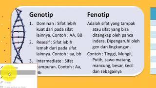 PEWARISAN SIFAT BAGIAN 2 - PERBEDAAN GENOTIP DAN FENOTIP