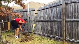 Fence Repair - Replace broken wood fence post.