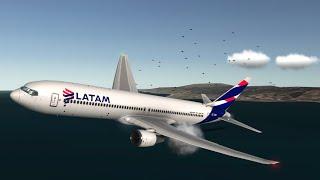 LATAM Airlines B767 BIRD STRIKE WHEN APPROACH Los Angeles